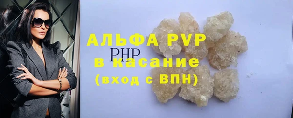 прущие грибы Богородск