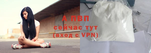 PSILOCYBIN Белокуриха