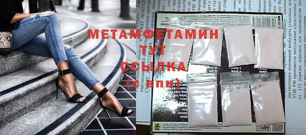 прущие грибы Богородск