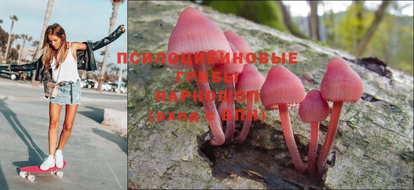 PSILOCYBIN Белокуриха