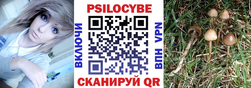 Псилоцибиновые грибы GOLDEN TEACHER  гидра как зайти  Беломорск 